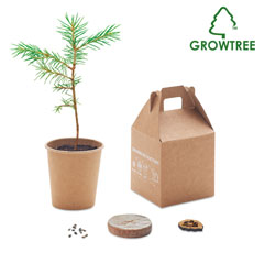 Growtree collection, growtree. Sustianable materials with pinetree seeds