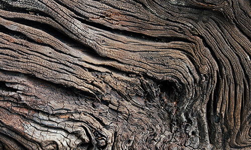 Wood