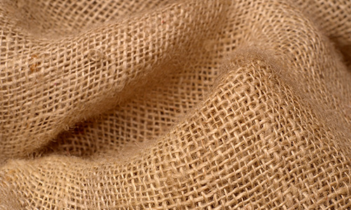Iută