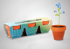 Plants & seeds