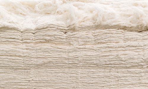 Cotton
