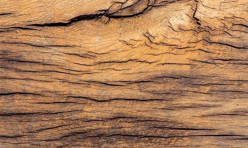 Oak